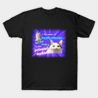 Socially Awkward Privately Awkward Meme T-Shirt